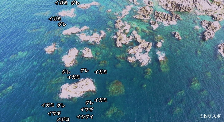 東の一の島空撮釣り場情報
