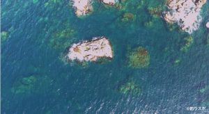 東の一の島