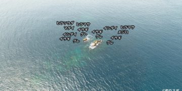 双子島空撮釣り場情報